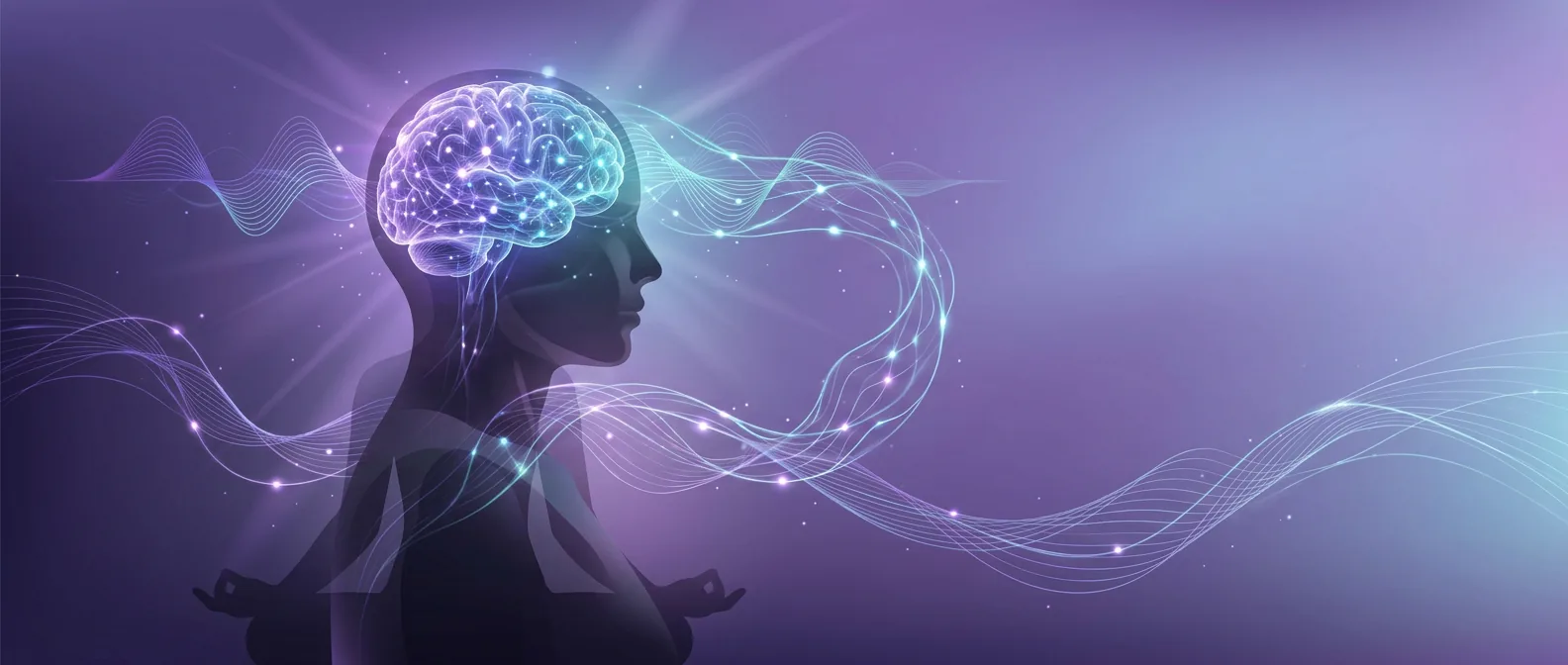 The Science of Mindfulness